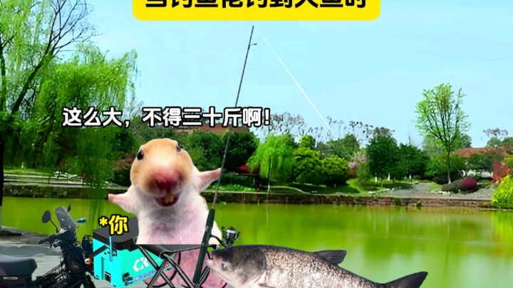 When the angler catches a big fish