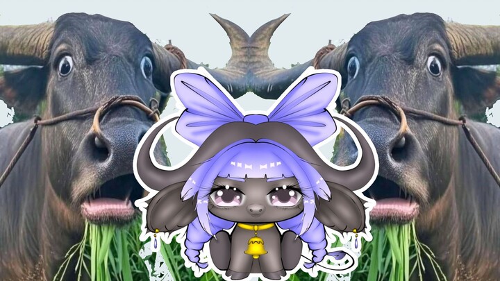kerbau🐃🐃 (part 2 mewarnai)