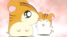 Hamtaro Episode 14 The Search for Sandy's Brother