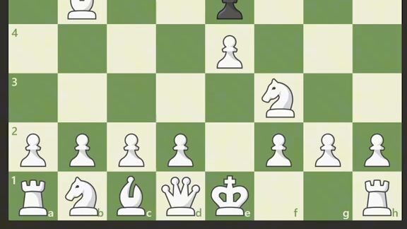 chess 1.1