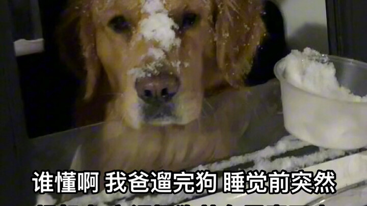 فم الكلب انحرف من الغضب