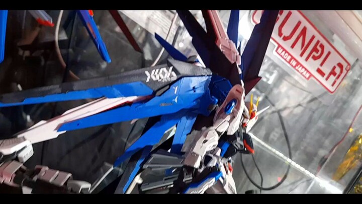 all hail kira yamato