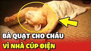 Bà ngoại TRUYỀN THUYẾT: NGỒI QUẠT cho cháu Mèo vì nhà CÚP ĐIỆN 🥰 | Yêu Lu