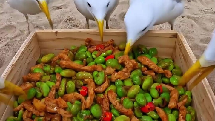 Bertahan hidup di pulau selama sehari untuk memperoleh satu juta dolar AS, berapa hari Anda bisa ber