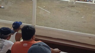 pangalawang sabak gaffing/talo