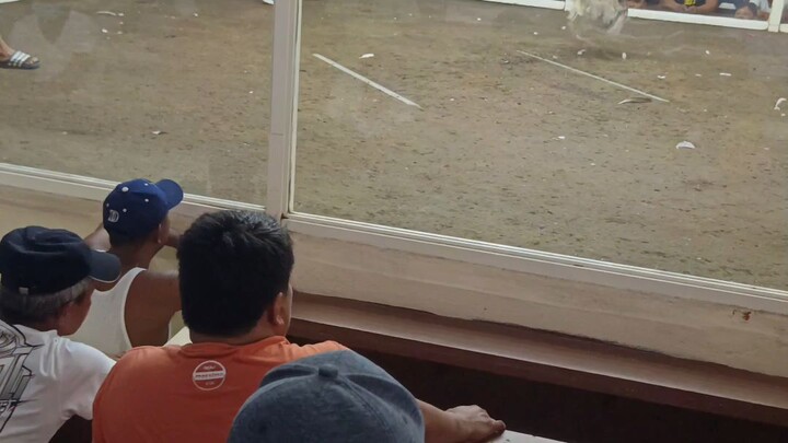 pangalawang sabak gaffing/talo