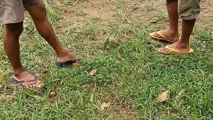 rubble grey vs bulik