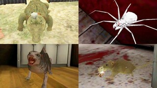 Creepy Pets #3 | Grandpa's White Spiders🕷The Dark Internet Cat🕷Rod's Crocodile🕷Evil Nun's Rat