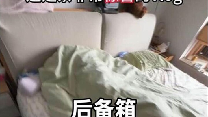 الإله الكبير للسحب يستقبل مفاجأته الخاصة!