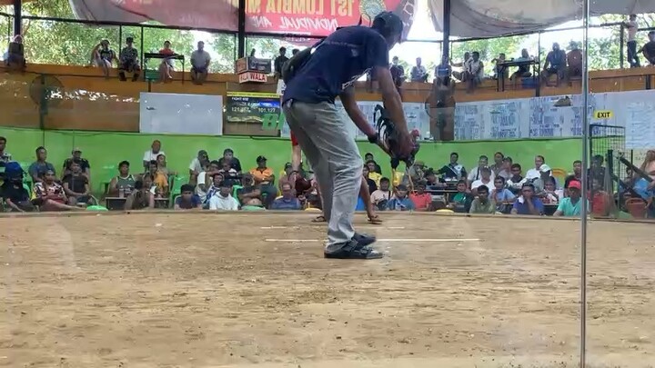 3rd fight @LOSA 5stag derby finals (win) 11/28/30