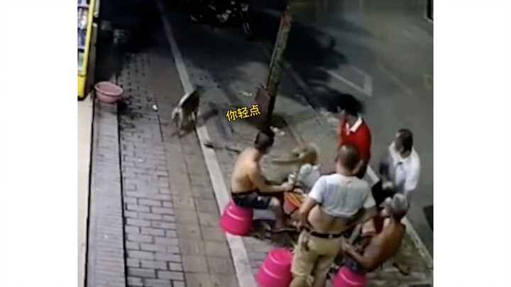 Seseorang memiliki satu rencana: menyusup secara diam-diam melalui jalan rahasia.