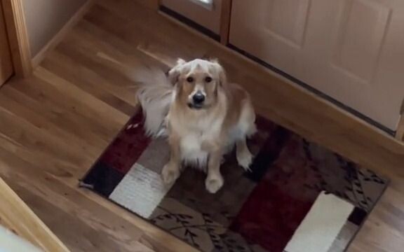 Huh? You’re home?
