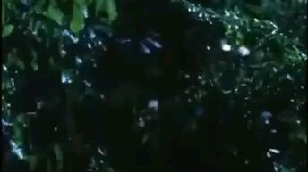 Batas ng Lansangan FPJ full move