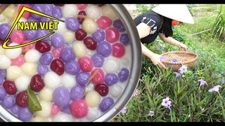 Sau đám thôi nôi - Món ngon còn sót lại - Nam Việt 1659