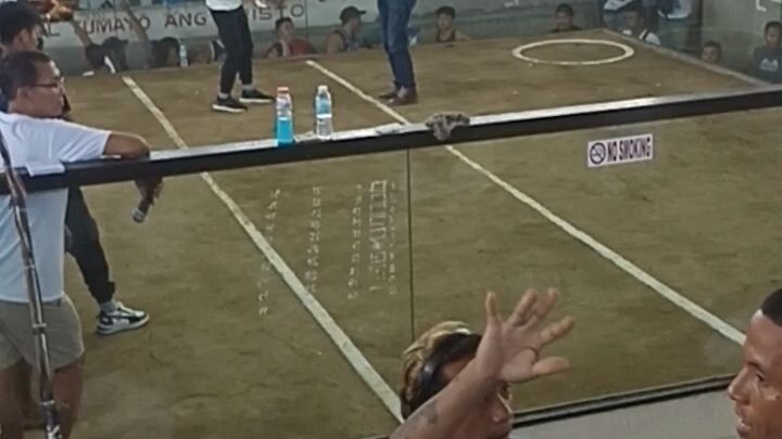 Maeng's Talisayin Draw