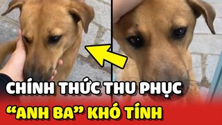 Cô gái chính thức THU PHỤC được "ANH BA" khó tính 😂 | Yêu Lu