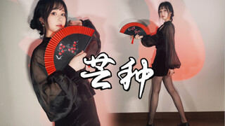 【团子】芒种就该跳芒种