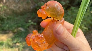 啊 这竟然是可以吃的...