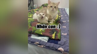 Chuyện cũng lâu rồi mới có phần mới mèogianac đã nhận khabanh :)))