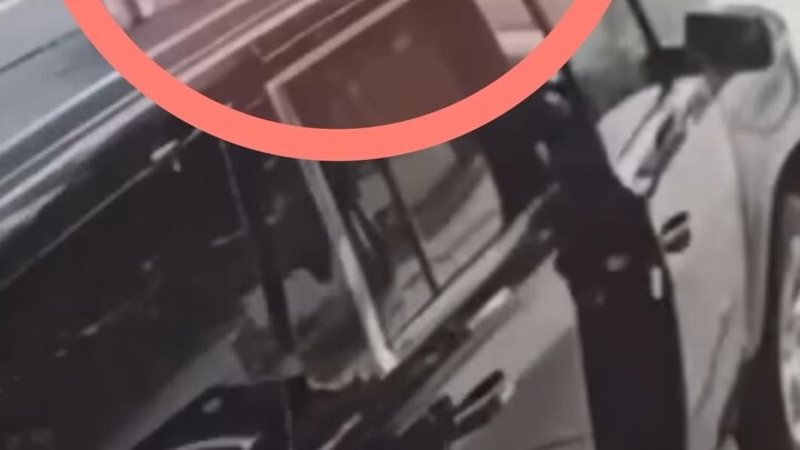 Mặc dù tốc độ phản ứng của mèo nhanh gấp 7 lần rắn, nhưng khi đóng cửa xe hãy chú ý đến các loài độn