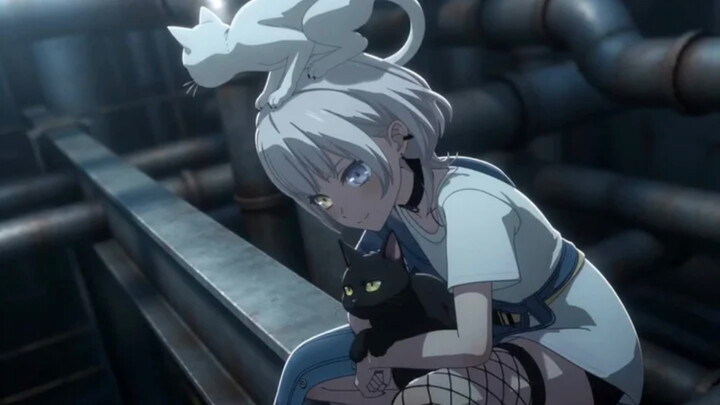 【Pertarungan Martial Mujica】 Metis yang Bangkit Kembali Episode 3: Ayo Main Bareng si Kucing!