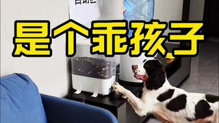 How to Be a Good Kid When the Owner Is Not at Home