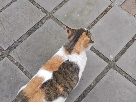 Following the senior student left her feeling utterly baffled.