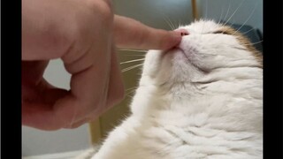 pointing