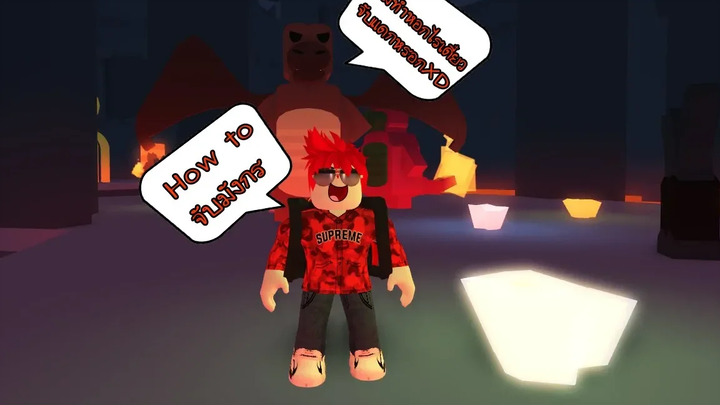 Roblox Feed your pets! 6 การจับมังกรกับการจับนกฟีนิกส์ทำไมมันต่างกันจังฟะ