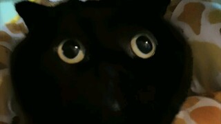 เอาล่ะ! ฉันขอเปิดใจแล้วกัน! จริงๆ แล้วฉันก็เป็นช่างฝีมือเหมือนกันนะ!