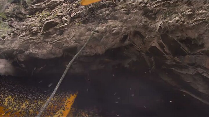 Kadamban by Arya & Catherine Tresa (2017)