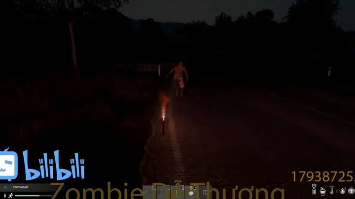 thử đấm nhau tay đôi trong #dayz