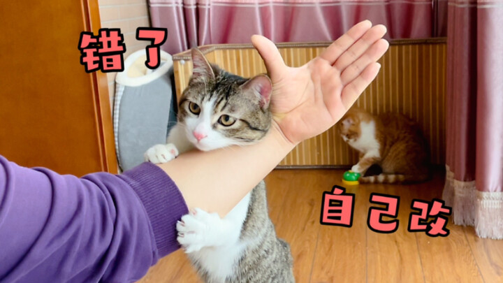 After the founding of the PRC, spirits weren’t allowed to gain consciousness—but the cats at home ju