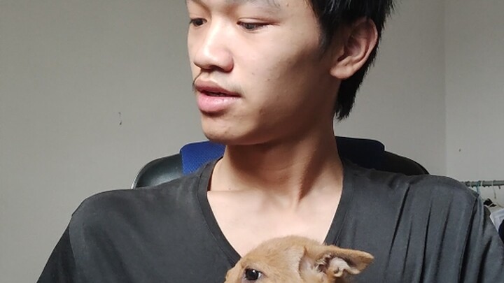 A Cẩu sao không ăn? Là không thích à?