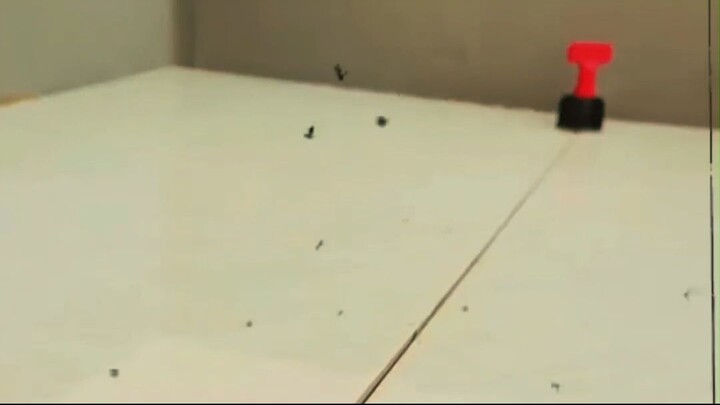 This Tiny Tool Stops Tiles From Sitting Uneven!