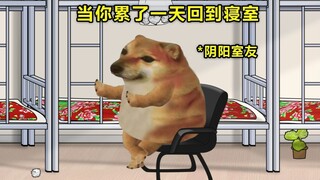 当你回到了宿舍