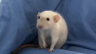 妈！好像有脏东西！！！
