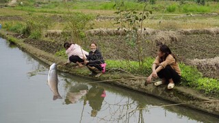 GỎI CÁ TRẮM NGÀY GIÓ LẠNH CỦA GÁI BẢN