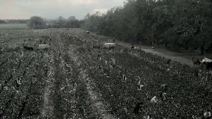 Peter, a slave, flees a plantation in Louisiana after he was whipped within an inch of his life.