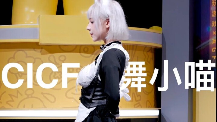 [Dancing Little Cat]: Short skirt & Pure Land direct shot!