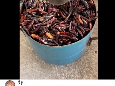 It’s so comfortable—not a single chili slipped out.