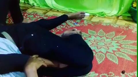 nyamuk arab