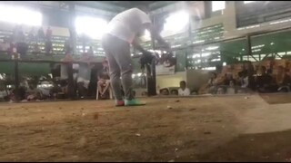 Joe Goode in action #1