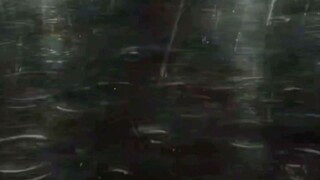 mc never kills there friends 😞😭