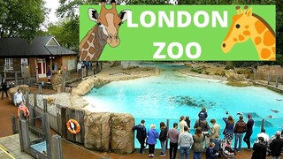 Exploring London Zoo: A Wild Wildlife Adventure In The Heart Of The City #LondonZoo #Wildlife