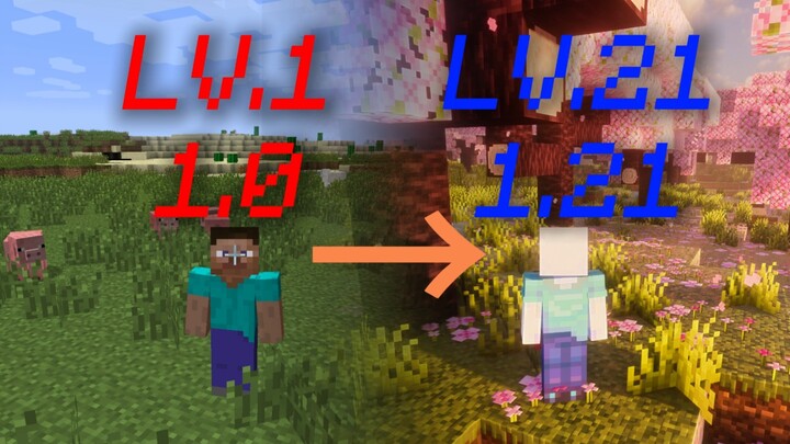 Every time you level up, the game version updates too!!!