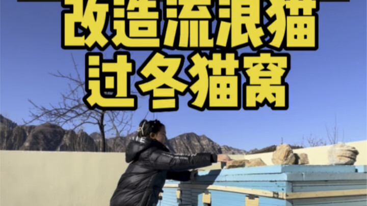 Membuat kandang kucing jalanan tiga lapis untuk musim dingin (modifikasi)