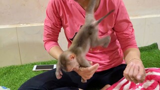 Baby Liheang Very Playful During Mom Apply Baby Powder & Wearing Diaper For Him