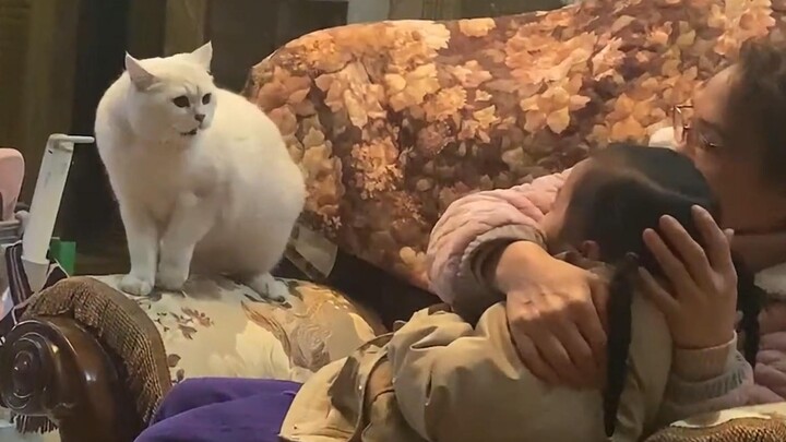 Sekaligus penakut sekaligus berani melindungi tuan kecil