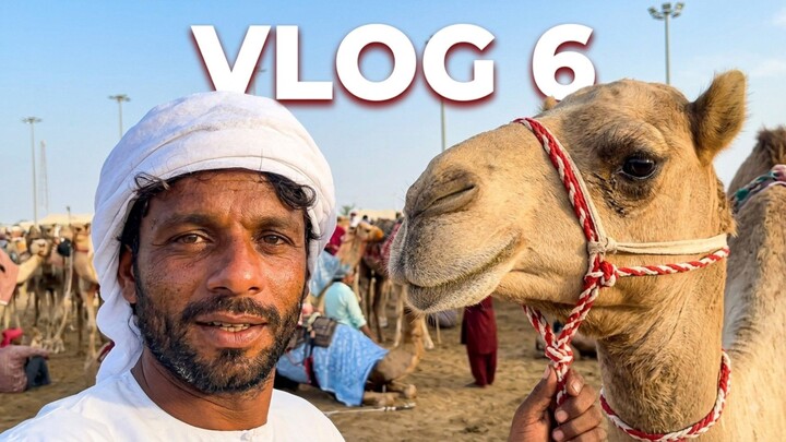 vlog 6